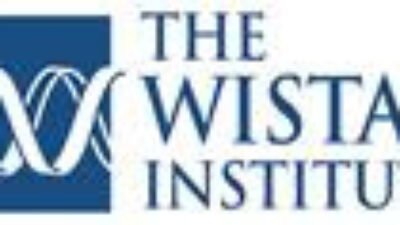 Wistar-Led Team Awarded More Than $12 Million Grant from the NCI to Investigate Link Between Epstein-Barr Virus and Carcinomas