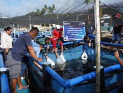 Kembangkan SFV, Serahkan 10.500 Bibit Ikan Kuwe untuk Perekonomian Budidaya Perikanan