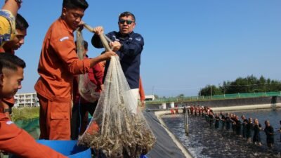Mantap, Taruna & Taruni KKP Sukses Kembangkan Budidaya Udang, Bahkan 2,3 ton Hasil Panen Langsung di Serap Pasar