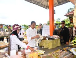 Jokowi Komitmen Melakukan Pembangunan Sampai ke Desa