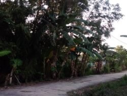 Sambut senin sore yang damai….