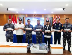 Yess ! KKP – TNI AL amankan 277.800 ekor BBL
