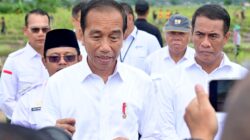 Jokowi Katakan Potensi IKN Dongkrak Pertumbuhan Ekonomi Sektor Pertanian bagi Daerah Sekitar