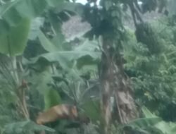 Catatan kaki : Hujan Rintik-rintik di Selasa pagi