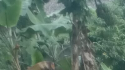 Catatan kaki : Hujan Rintik-rintik di Selasa pagi