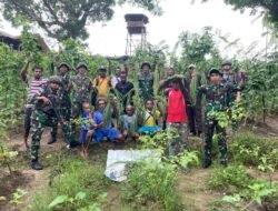 Wujudkan Ketahanan Pangan di tengah keterbatasan, Satgas Yonif 141/AYJP Pos Venaha Gelar Panen Raya