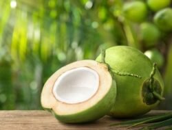 Kaya Nutrisi dan Serbaguna, Buah Kelapa Jadi Primadona untuk Kesehatan Kelapa bukan sekadar pelengkap sajian tradisional atau bahan dasar santan.