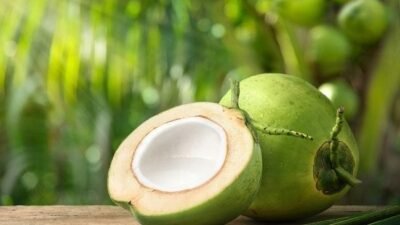 Kaya Nutrisi dan Serbaguna, Buah Kelapa Jadi Primadona untuk Kesehatan Kelapa bukan sekadar pelengkap sajian tradisional atau bahan dasar santan.