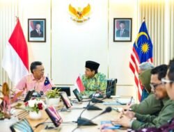 Orangutan Borneo Lintasi RI–Malaysia, Alarm Konservasi