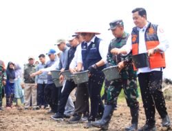 Gubernur Herman Deru Pimpin Tanam Padi Serentak di Banyuasin, Perkuat Sumsel sebagai Lumbung Pangan Nasional