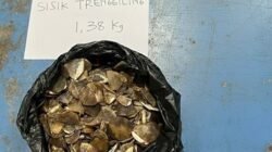 Sisik Trenggiling Sintang, Jejak Perdagangan & Penegakan