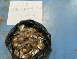 Sisik Trenggiling Sintang, Jejak Perdagangan & Penegakan