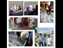 Menengok Aktifitas MA Al Hikmah 2 Brebes, Dibawah Kaki Gunung Slamet Kembangkan Agribisnis Air Tawar, Wah, Hasilnya…  
