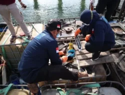 Pengadilan Negeri Batam Vonis Kapten Kapal Penyelundup Limbah B3 Dari Singapura 7 Tahun Penjara