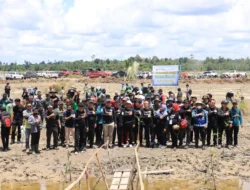 Pulihkan lingkungan, rehabilitasi mangrove