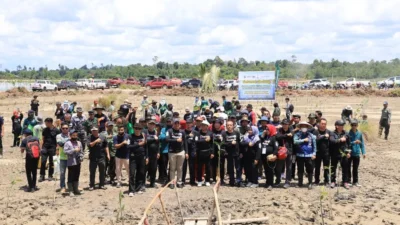 Pulihkan lingkungan, rehabilitasi mangrove