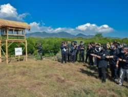 Lepasliarkan 108 ekor Curik Bali