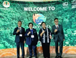 COP27 Sharm El-Sheikh, Mesir, RI Suarakan 4 Hal Ini