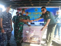 Satwa hasil operasi penyergapan terhadap kapal berbendera asing