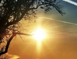Berjemur Yuk ! Sinar Matahari Pagi Bisa Bikin Kesehatan Mental