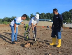 Bersihkan Sampah & Tanam Pohon Cemara