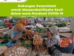 Dukungan Pemerintah untuk Masyarakat/Usaha Kecil dalam masa Pandemi COVID-19