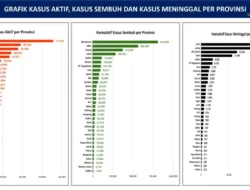 Grafik Kasus Aktif, Kasus Sembuh dan Kasus Meninggal per Provinsi (Update per 12 Agustus 2021)