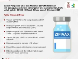 Wajib Ente Ketahui, BPOM Terbitkan Izin Penggunaan Darurat untuk Vaksin Zifivax