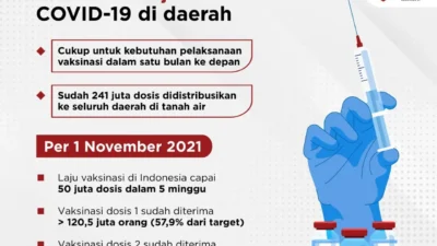 Ada Stok 47 Juta Dosis Vaksin COVID-19 di Daerah, Cukup untuk November 2021