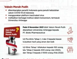 Bibit Vaksin Merah Putih Disiapkan untuk Uji Klinis Tahap 1, 2, & 3