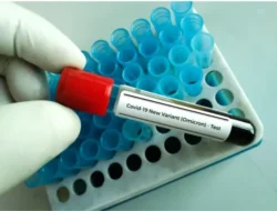 6 Hal yang Perlu Diketahui Tentang Varian COVID-19 Omicron