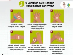 6 Langkah Cuci Tangan Pakai Sabun Ala WHO