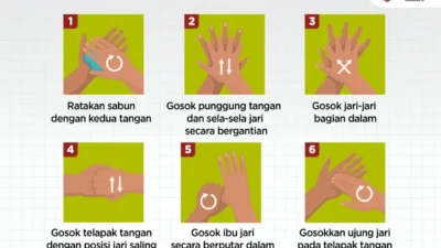 6 Langkah Cuci Tangan Pakai Sabun Ala WHO