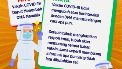 MITOS: Vaksin COVID-19 Dapat Mengubah DNA Manusia, Faktanya