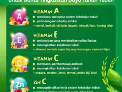 Manfaat Vitamin untuk Bantu Tingkatkan Daya Tahan Tubuh