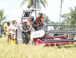 Wabup Banyuasin : Netta Indian, SP Panen Raya di Desa Merah Mata