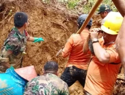 Inna Lillahi Wa Inna Ilaihi Raji’un, BPBD Kab. Padang Pariaman Laporkan Akibat Cuaca Ekstrem, 7 Orang Meninggal Dunia Tertimbun Longsor, 1 Orang Meninggal Tertimpa Pohon Tumbang  