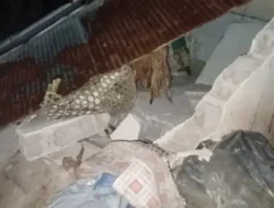 Pasca Gempa M5,2 di Karangasem, 34 Rumah Warga Rusak