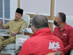 15 Ribu Masker 3 Lapis dari ACE ACE Hardware, Begini Asanya