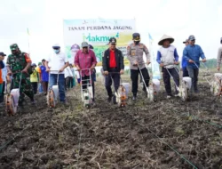 Tanam Jagung Bersama, Bupati Banyuasin kasih wejangan ini