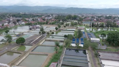 Cara KKP Sukseskan Program Ekonomi Biru