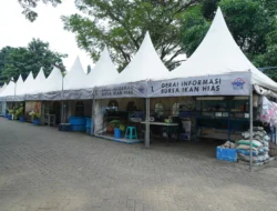 Bisnis Ikan Hias Cukup Menjanjika, Dapat Dilakukan Semua Kalangan
