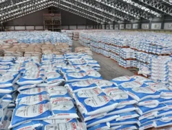 Januari Hingga Juli, PT Pupuk Indonesia Salurkan 309.100 Ton Pupuk di Lampung