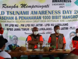 Peringatan Hari Kesadaran Tsunami Dunia, Selain Tanam Mangrove, BNPB Isi Kegiatan Soal Bencana  