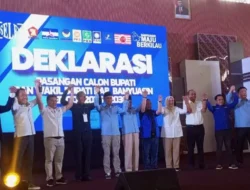 Herman Ong katakan Rakyat dan 2/3 Dewan Banyuasin Dukung Selfi