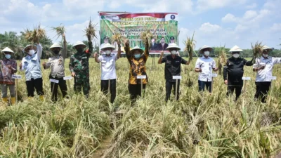 Agar Petaninya Juga Melek Teknologi, Muba Gaet Tim IPB