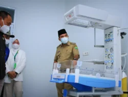 Ada Gedung Ponek Pelayanan 24 Jam di Daerah Ini, Pelayanan Kesehatan Talak Ukur Daya Saing Daerah Ungkap Kepdanya