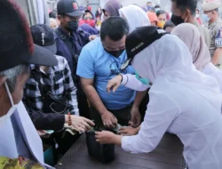 Blusukan di Jalan Siaran, Selain Got-nya Mampet, Hingga Masalah Lainnya, Nah !  Soal yang Satu Ini yang Bikin Wawako Bakal Panggil Kepala Pasar Satelit Perumnas Sako