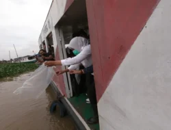 Ribuan Benih Ikan Patin Ditabur untuk Jaga Keseimbangan Ekosistem Sungai Ogan, Semoga Nggak Sia-sia, Benihnya Tetap Hidup !