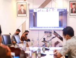 Soal Ilegal Driling, Begini yang Disampaikan Sekda Muba di Webinar ADPMET